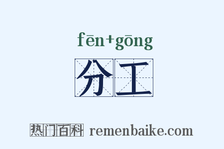 分工是什么意思的图片